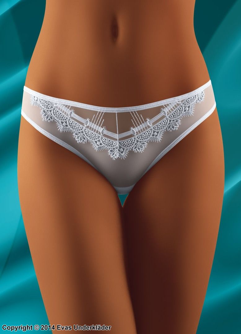 Hipster panty with embroidered lace